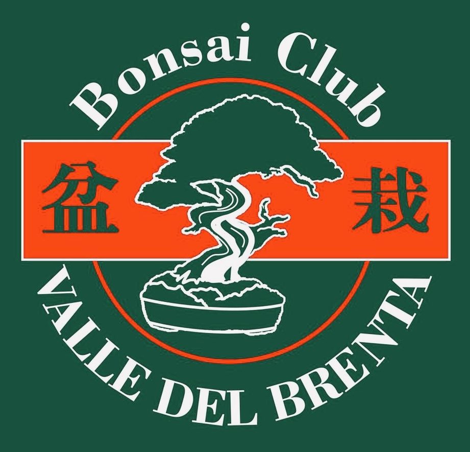 Aggiornamento Incontri 3º Quadrimestre 2024