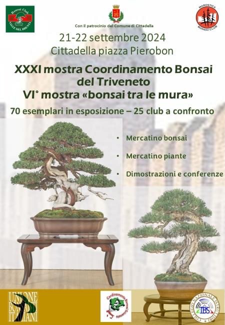 XXXIª mostra Coordinamento Bonsai del Triveneto e VIª mostra “Bonsai tra le Mura”